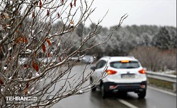 بارش برف زمستانی در بوستان سرخ حصار 20