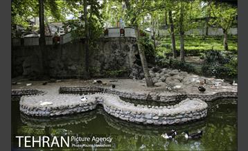 بوستان ساعی 10