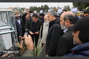 آغاز کاشت ۲۵ هزار اصله نهال غیرمثمر در بوستان چیتگر 26