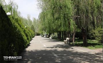 بوستان بانوان نرگس 24