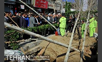 احیای درختان خیابان  ولیعصر( عج) با حضور شهردار تهران  20