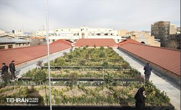 بازدید رییس شورای شهر تهران از پروژه خانه شهر (بلدیه) 25