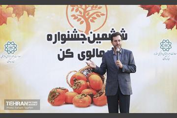 ششمین جشنواره خرمالو 13