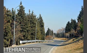 پارک جنگلی سرخه حصار 10