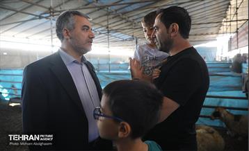 بازدید از مرکز عرضه بهداشتی دام ویژه عید قربان 47