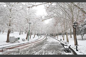 صبح برفی بوستان ملت 11