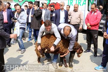 رونمایی از اتوبوس تیم ملی با طرح یوزپلنگ