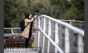 برگزاری اولین تور مسابقه عکس روز تهران به مناسبت روز تهران 21