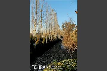 باغ موزه قصر تهران 8