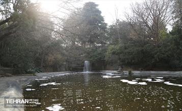 بازدید گروه های دوام مناطق از باغ گیاه شناسی ملی 16