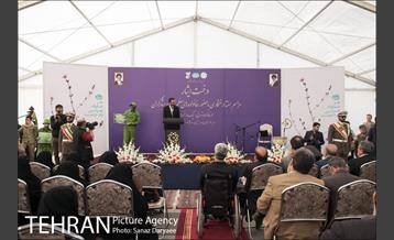 آیین کاشت "درخت ایثار" 8