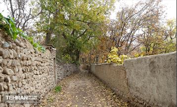 طبیعت پاییزی کوچه باغ‌های محله کن 18