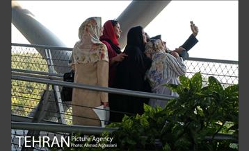 نمایشگاه “طبیعت تهران” بر روی پل طبیعت 24