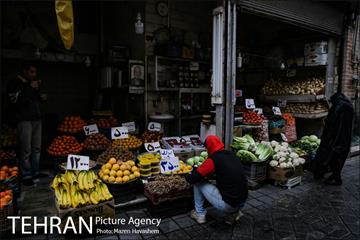 محله امامزاده یحیی  9