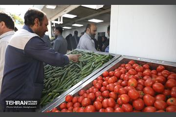 افتتاح ۲ بازار میوه و تره‌بار در تهران 7