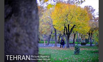 پاییز در بوستان ملت 28