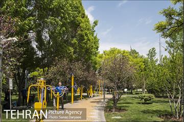 بوستان آزادگان 31
