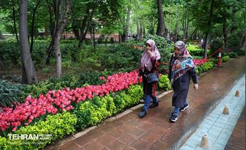 لاله‌ها میهمان باغ ایرانی 5