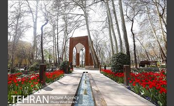 رویش گل های لاله در باغ ایرانی 2