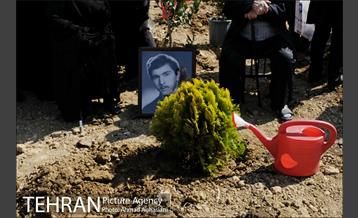 روز درختکاری در بوستان تبسم 15