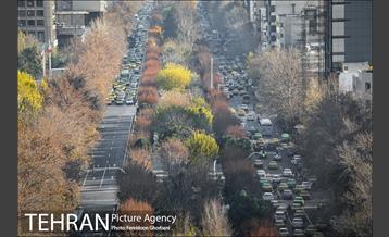 روزهای آفتابی زمستان 6