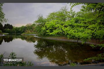 باغ گیاه‌شناسی 20