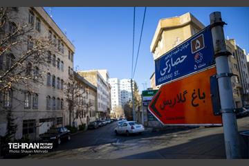 باغ گلاریس 1