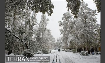 بارش اولین برف پاییزی در تهران 5