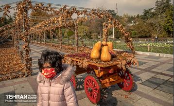 گذرگاه های پاییزی پایتخت - پارک ملت  1