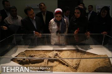 تهرانگردی شهردار بغداد 1