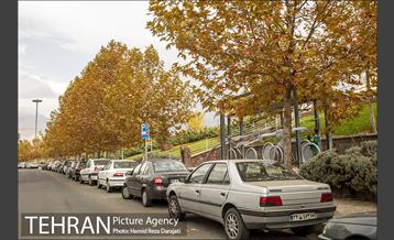 پاییز زیبای پایتخت- 2 4