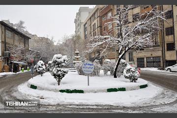 بارش برف زمستانی در منطقه 1 17