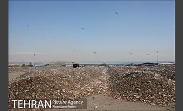 بازدید پذیرفته شدگان در آزمون دستیاران مدیرشهرداری تهران از مرکز آرادکوه 31