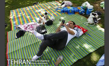 روز طبیعت در بوستان گفتگو 8