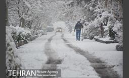 بارش برف زمستانی در تهران-2 11