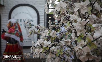 جشنواره زمستان داغ  4