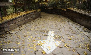 طبیعت پاییزی باغ راه فدک تهران 16