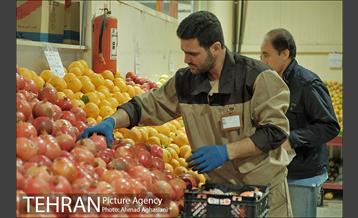 میدان میوه وتره بار شهید غیبی شهرری 15