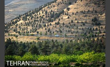 بوستان جنگلی لتمال کن 31