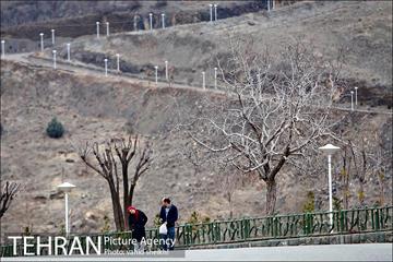 بام توچال تهران 12