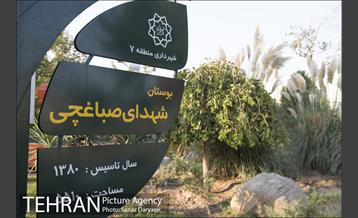 بوستان شهدای صباغچی‎ 8