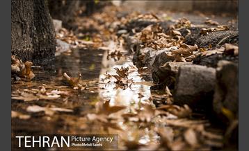 پاییز زیبای منطقه کن 24