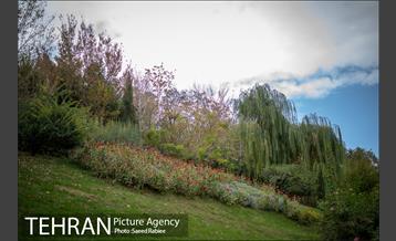 پاییز زیبای پایتخت- 3