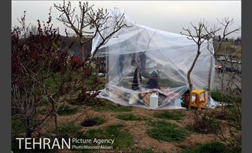 روز طبیعت  در بوستان یاس