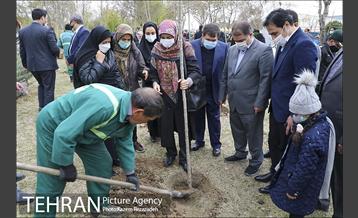 مراسم درختکاری در بوستان ولایت  7