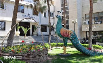 حال و هوای بهاری منطقه 11 2