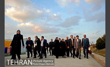 کاشت شش نهال درخت زیتون با حضور کارگرداران سینمای ایران 1