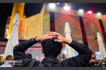 حرم مطهر امام علی (ع) در آستانه اربعین حسینی 11