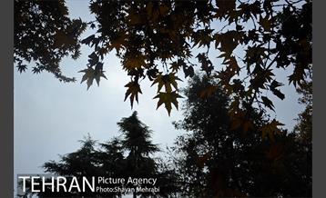 پاییز در بوستان ملت 16
