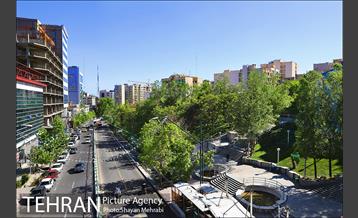 ولیعصر(عج)؛ خیابانی به درازای خاورمیانه 31